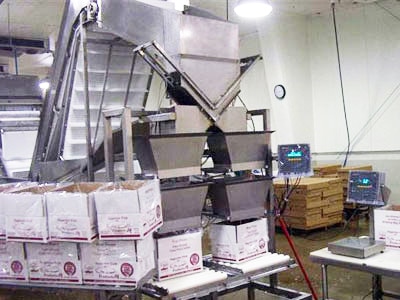 Sytem-Development-Box-Filling